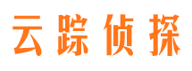 双桥市私家侦探